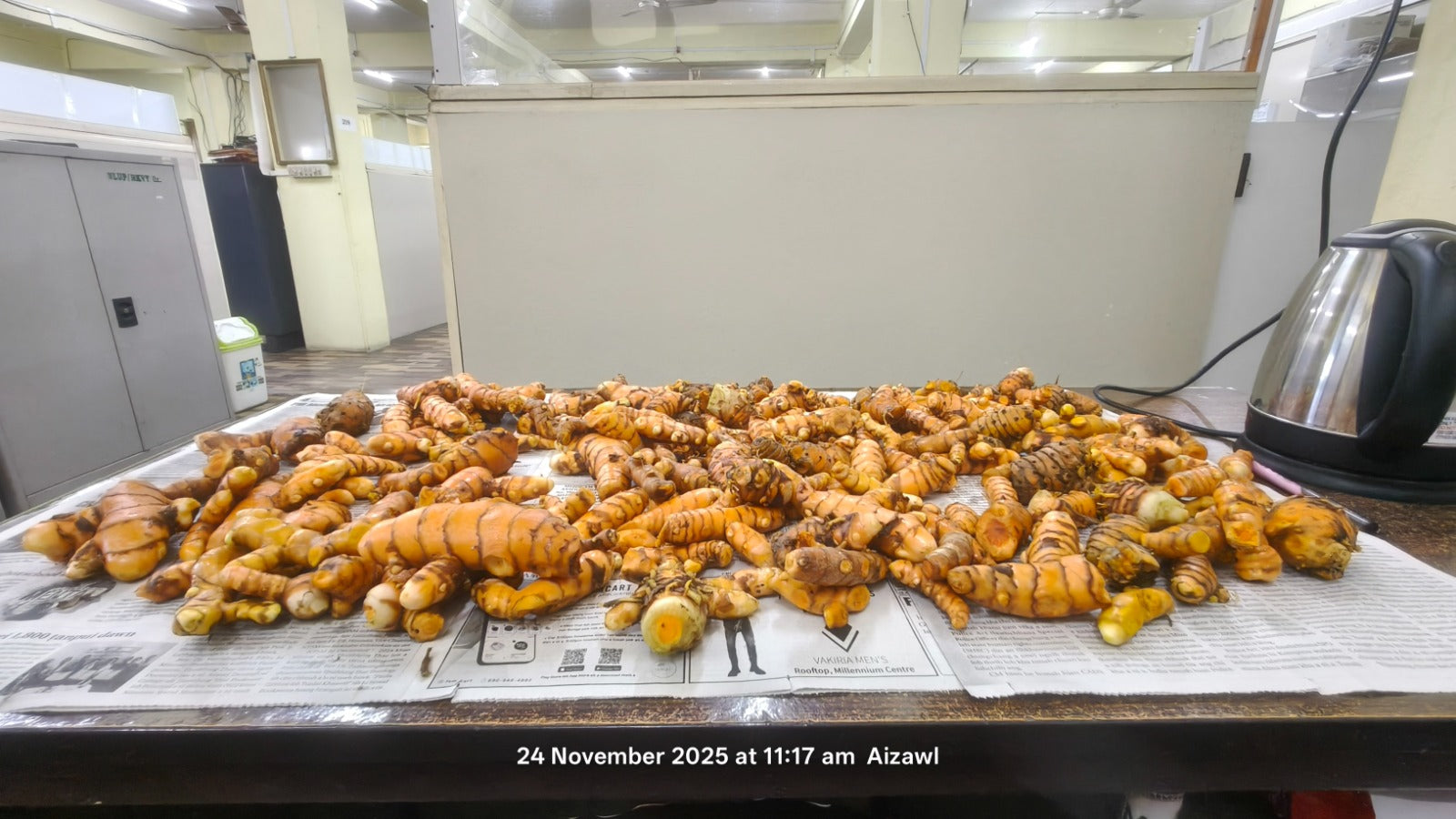 Indian Fresh Organic Turmeric ! (for Bulk Orders Only min 100 KG @ 10 $ per kg)