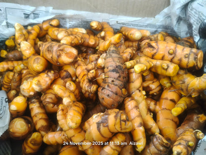 Indian Fresh Organic Turmeric ! (for Bulk Orders Only min 100 KG @ 10 $ per kg)