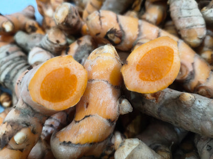 Indian Fresh Organic Turmeric ! (for Bulk Orders Only min 100 KG @ 10 $ per kg)