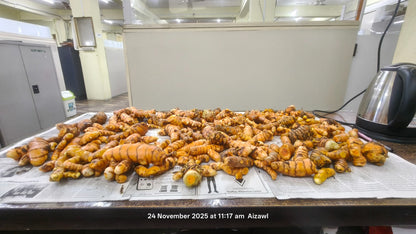 Indian Fresh Organic Turmeric ! (for Bulk Orders Only min 100 KG @ 10 $ per kg)
