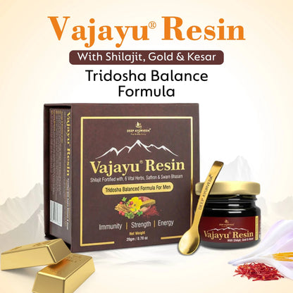 Vajayu Shilajit Gold Resin Plus With Gold & Kesar