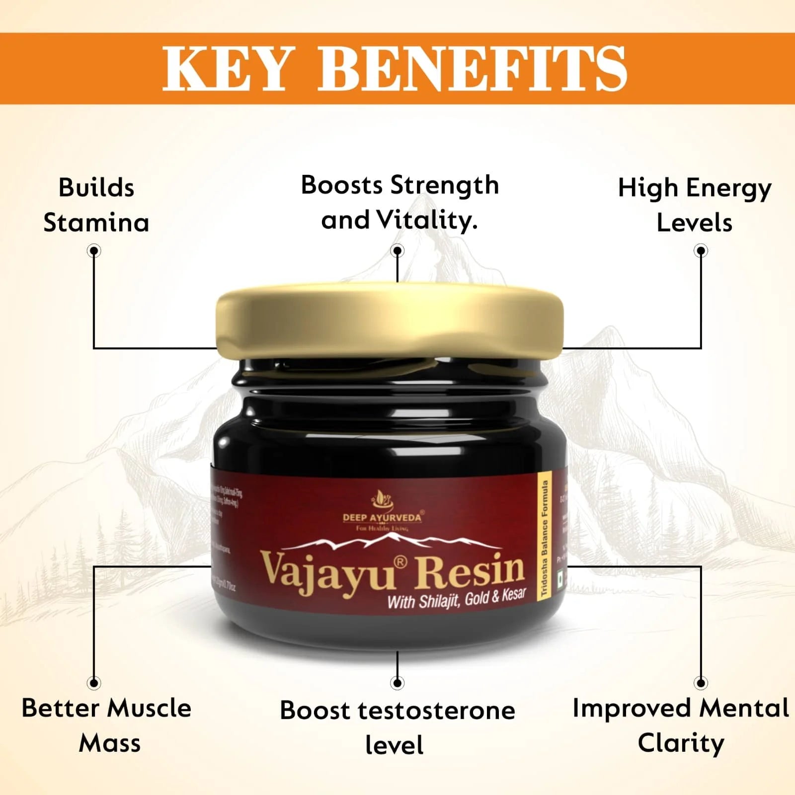 Vajayu Shilajit Gold Resin Plus With Gold & Kesar