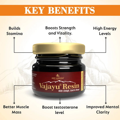 Vajayu Shilajit Gold Resin Plus With Gold & Kesar