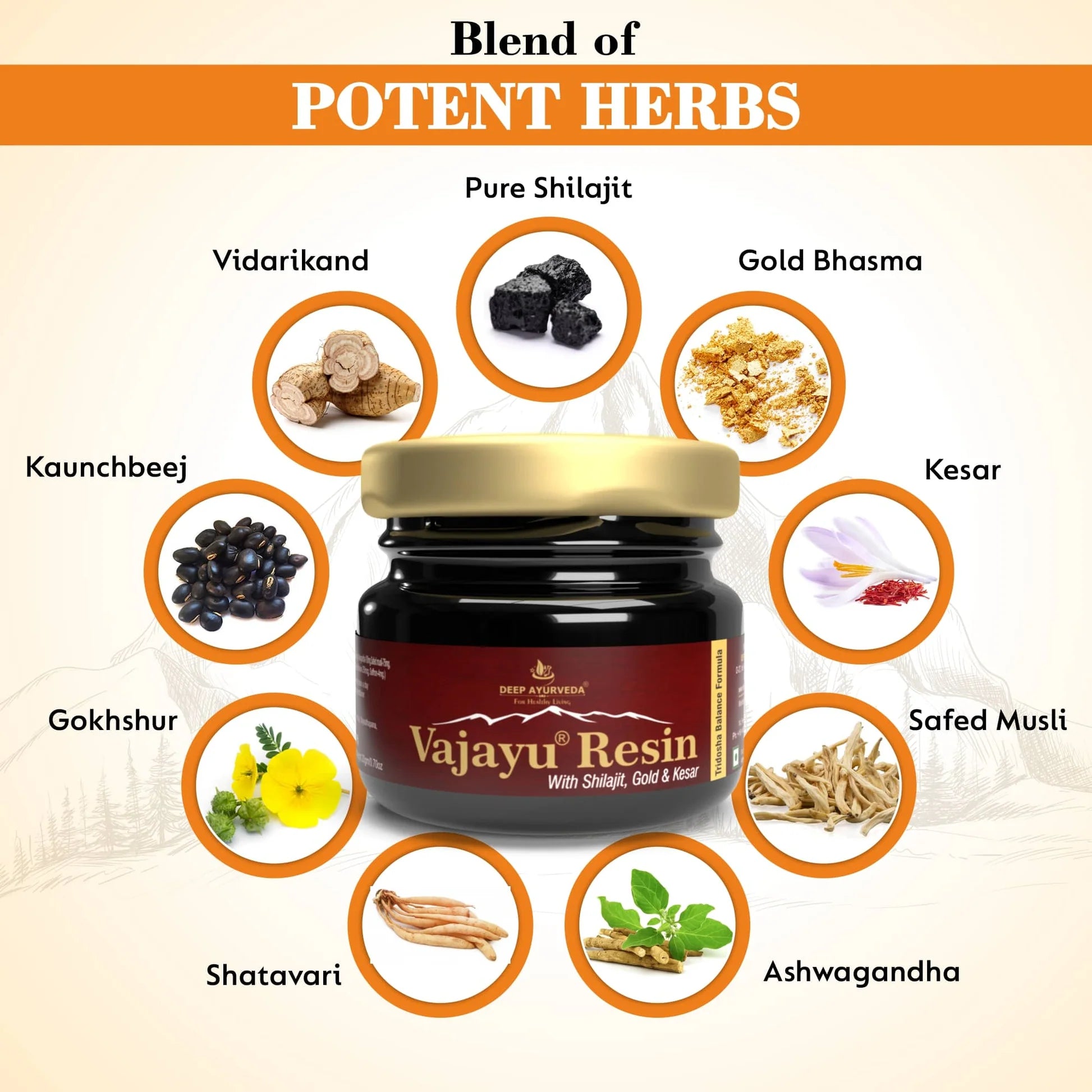 Vajayu Shilajit Gold Resin Plus With Gold & Kesar