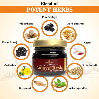 Vajayu Shilajit Gold Resin Plus With Gold & Kesar