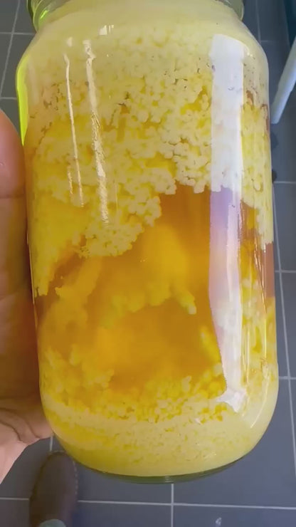 ORGANIC Ghee Pepesaya 1 Litre